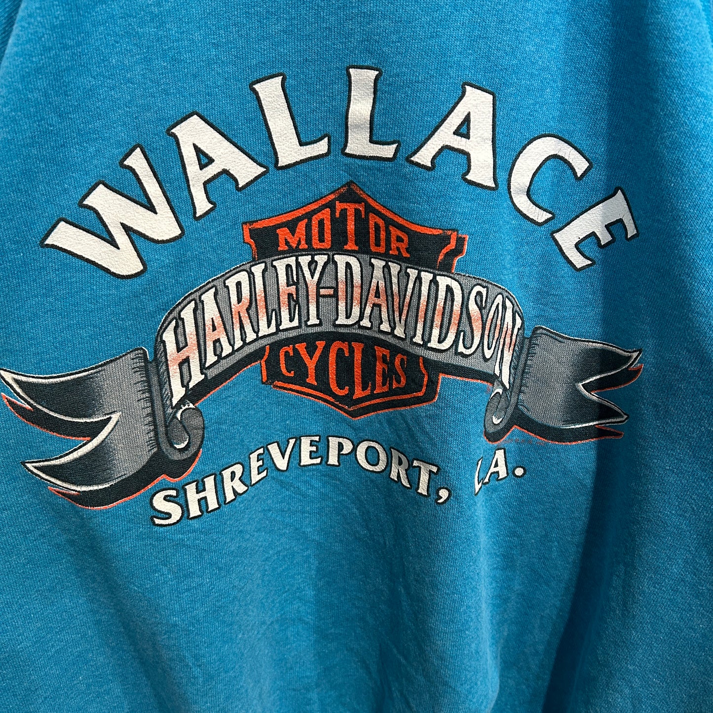 80's Harley Davidson ハーレー 発泡/ラバー両面プリントスウェット ターコイズ/A8411S-SO