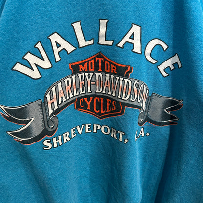 80's Harley Davidson ハーレー 発泡/ラバー両面プリントスウェット ターコイズ/A8411S-SO