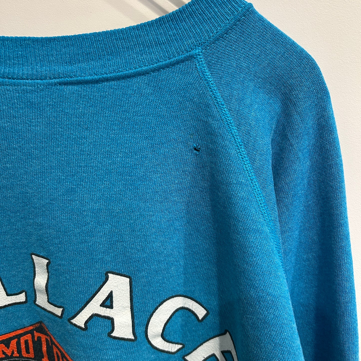 80's Harley Davidson ハーレー 発泡/ラバー両面プリントスウェット ターコイズ/A8411S-SO