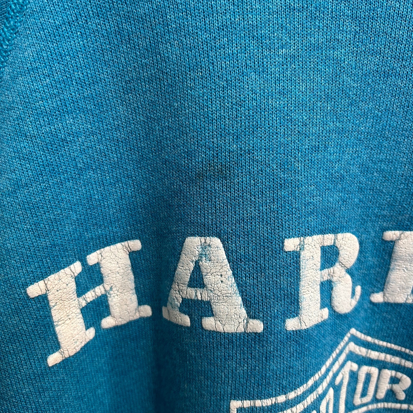 80's Harley Davidson ハーレー 発泡/ラバー両面プリントスウェット ターコイズ/A8411S-SO