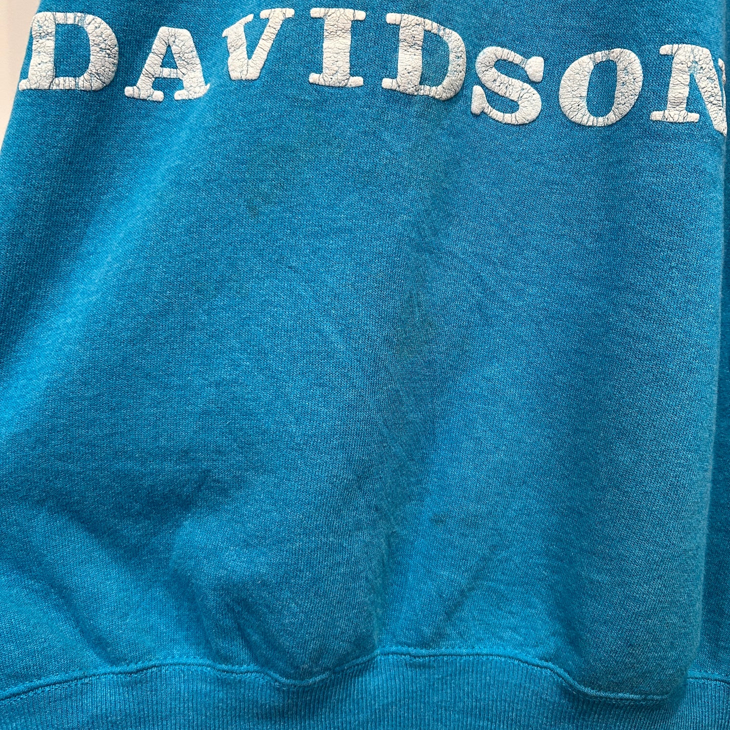 80's Harley Davidson ハーレー 発泡/ラバー両面プリントスウェット ターコイズ/A8411S-SO