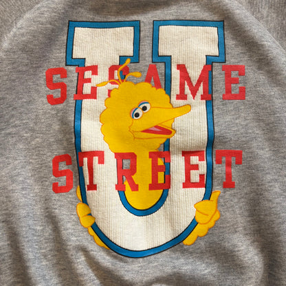 90's Sesame Street Big Bird ビッグバード ラグランスウェット グレー(XL)/C0143S-SO