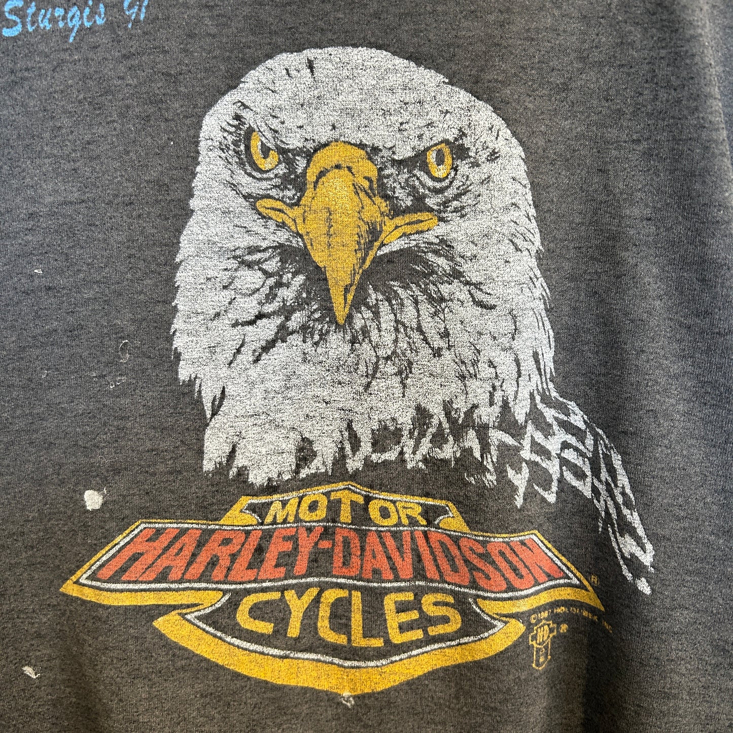 80's Harley-Davidson ”スタージス・ラリー” イーグルプリントTシャツ 黒 (L)/A4047T-SO