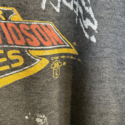 80's Harley-Davidson ”スタージス・ラリー” イーグルプリントTシャツ 黒 (L)/A4047T-SO