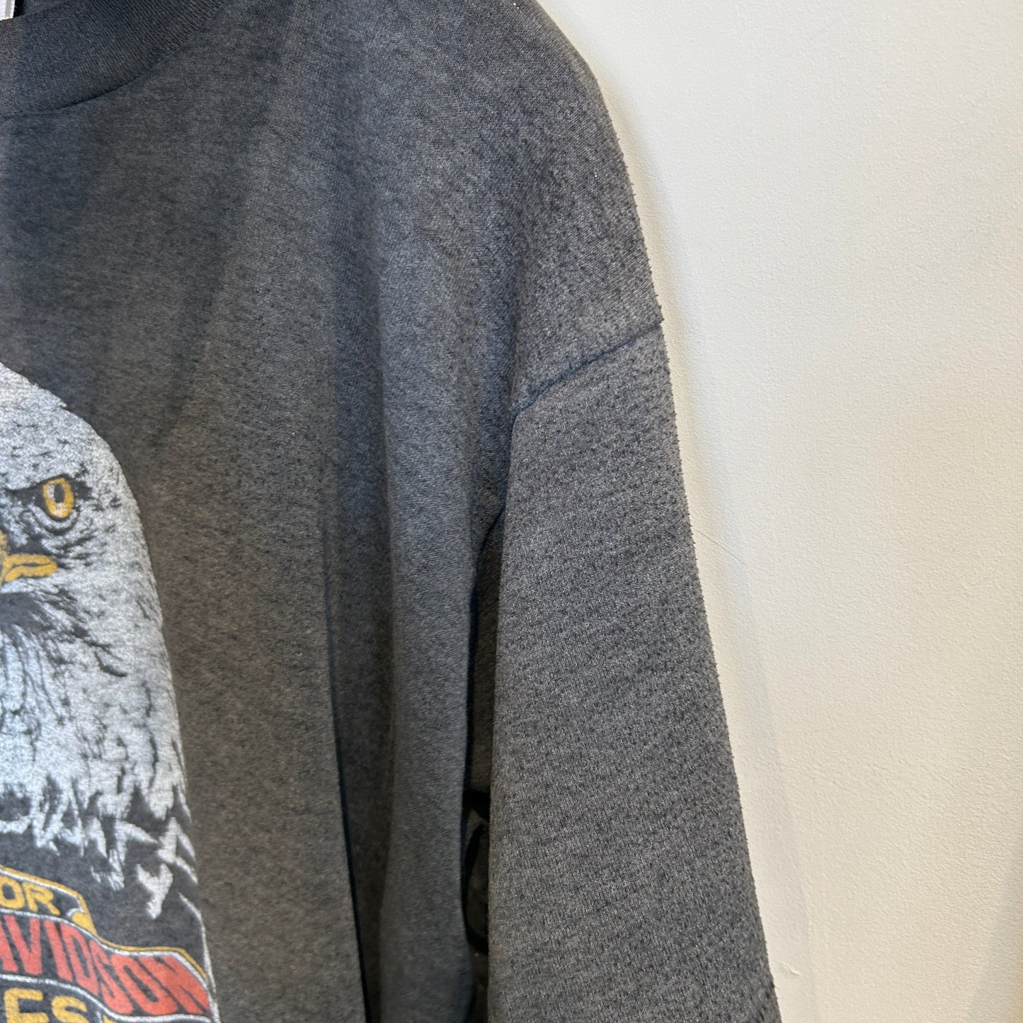 80's Harley-Davidson ”スタージス・ラリー” イーグルプリントTシャツ 黒 (L)/A4047T-SO