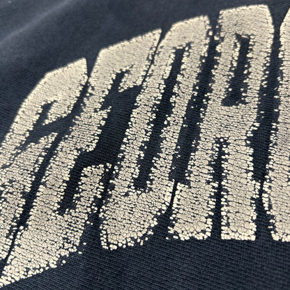 90's Champion Reverse Weave リバースウィーブ GEORGE TOWN 紺(XL)/A2674R-SO