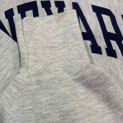 90's Champion チャンピオン Reverse Weave リバースウィーブ VINE YARD スウェットフーディー パーカー  グレー (2XL) /C0197R-SO