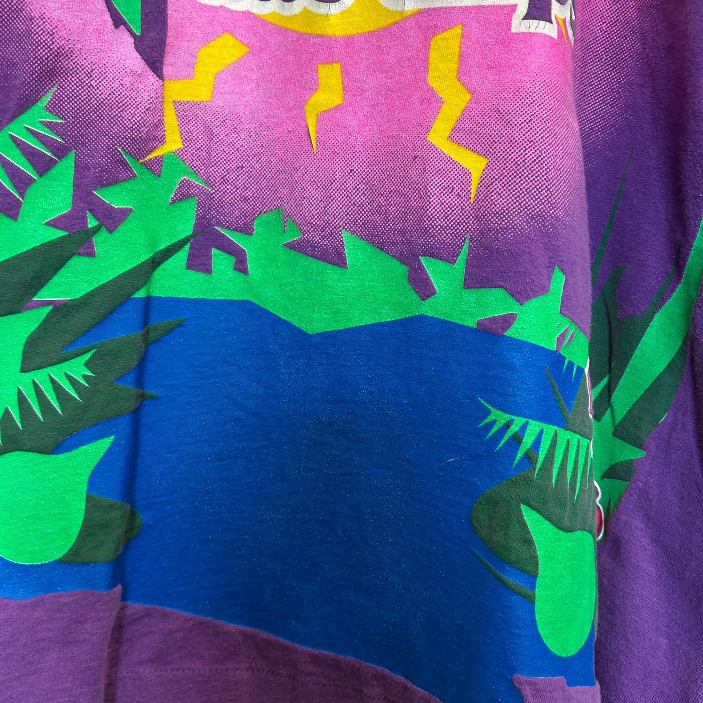 90's Crazy Calypso ポテトチップス プリントTシャツ 紫 (サイズ不明)/A3849T-SO