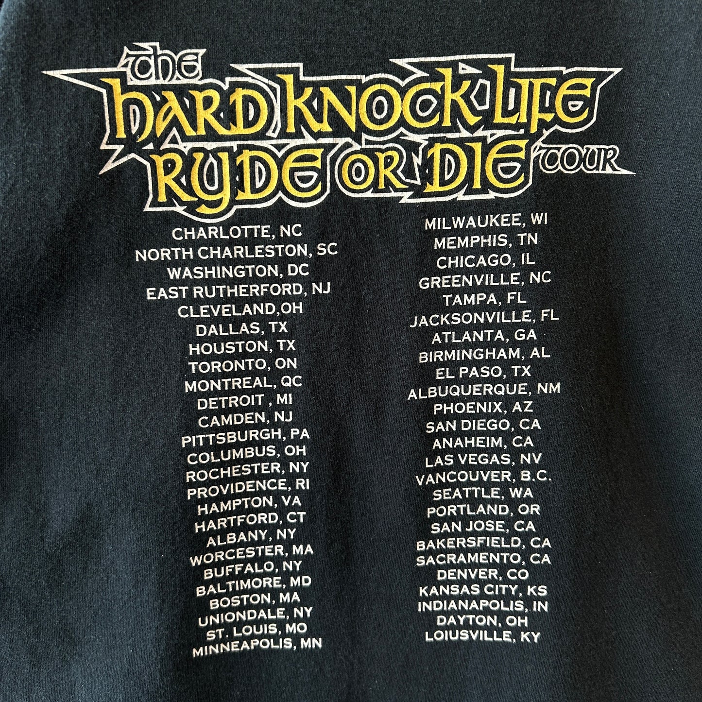 90's JAY-Z "Hard Knock Life Ryde or Die"ツアーTシャツ ラップT anvil 黒(XL)/C0824T-SO