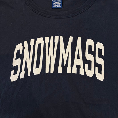 90's  Champion SNOWMASS プリント ロンT ネイビー (2XL)/A7124T-SO