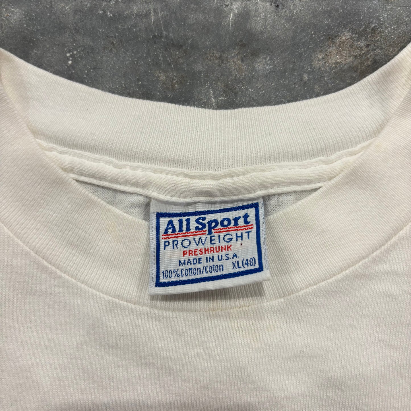90's All Sport 恐竜 ダイナソー OCTOBER 15, 1994 イベントTシャツ