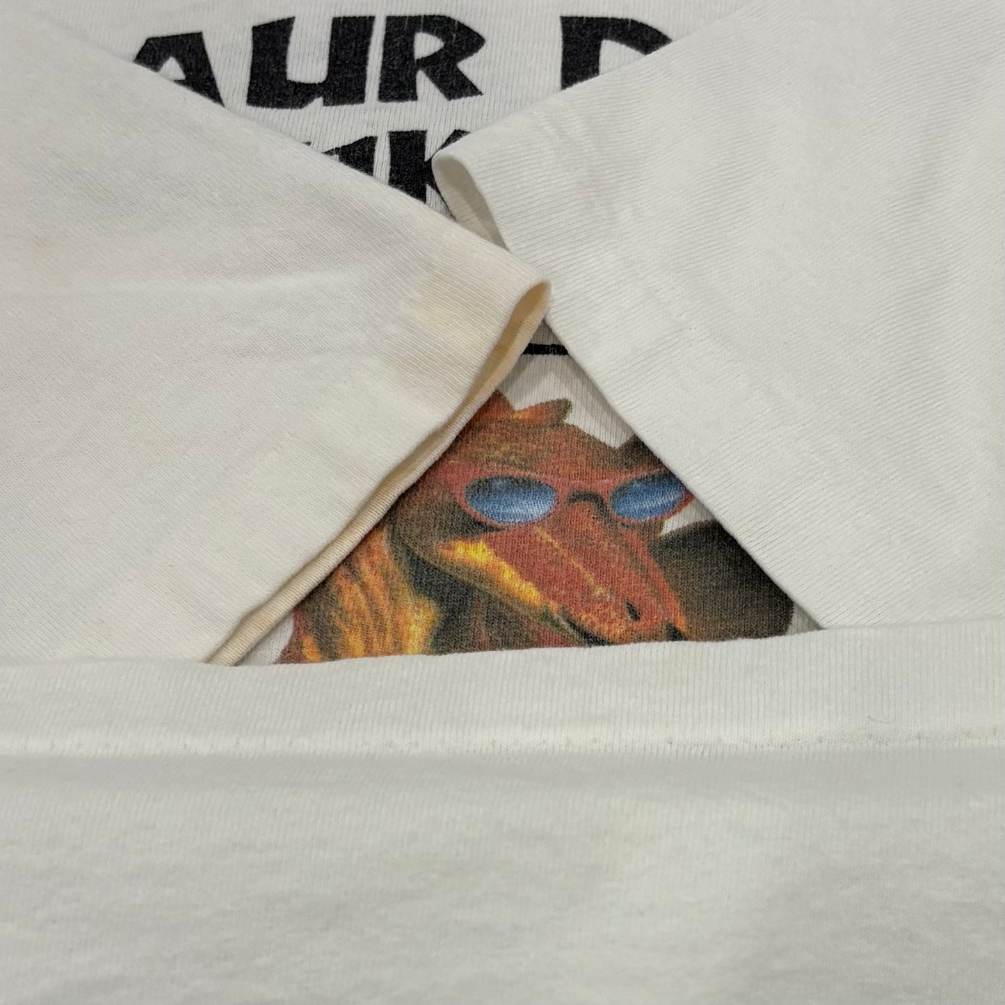 90's All Sport 恐竜 ダイナソー OCTOBER 15, 1994 イベントTシャツ