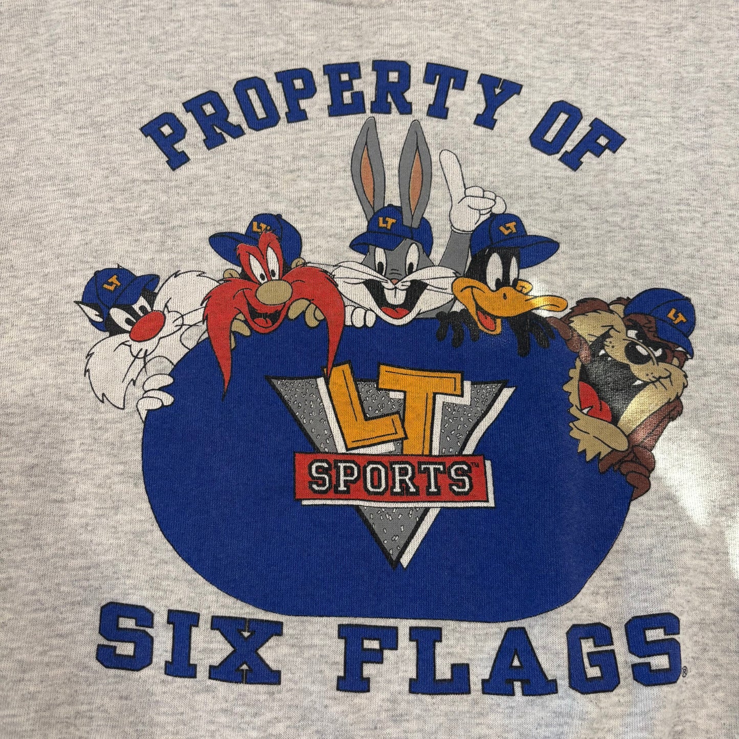 90's  SIX FLAGS  ルーニーテューンズ プリント スウェット グレー L /B1579S-SO