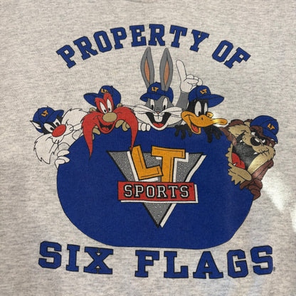 90's  SIX FLAGS  ルーニーテューンズ プリント スウェット グレー L /B1579S-SO